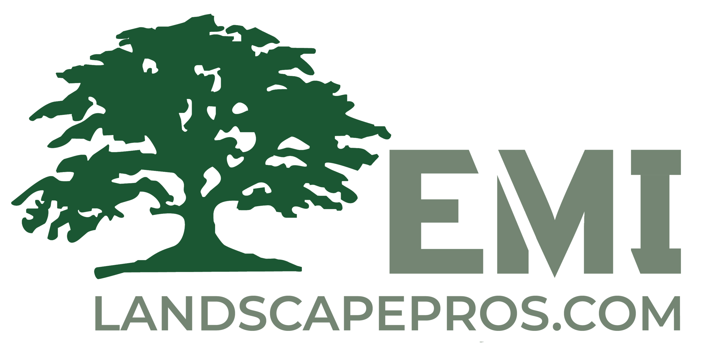 EMI Environmental Management Inc.
